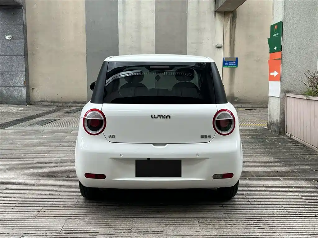 Qiyuan Lumin 2023