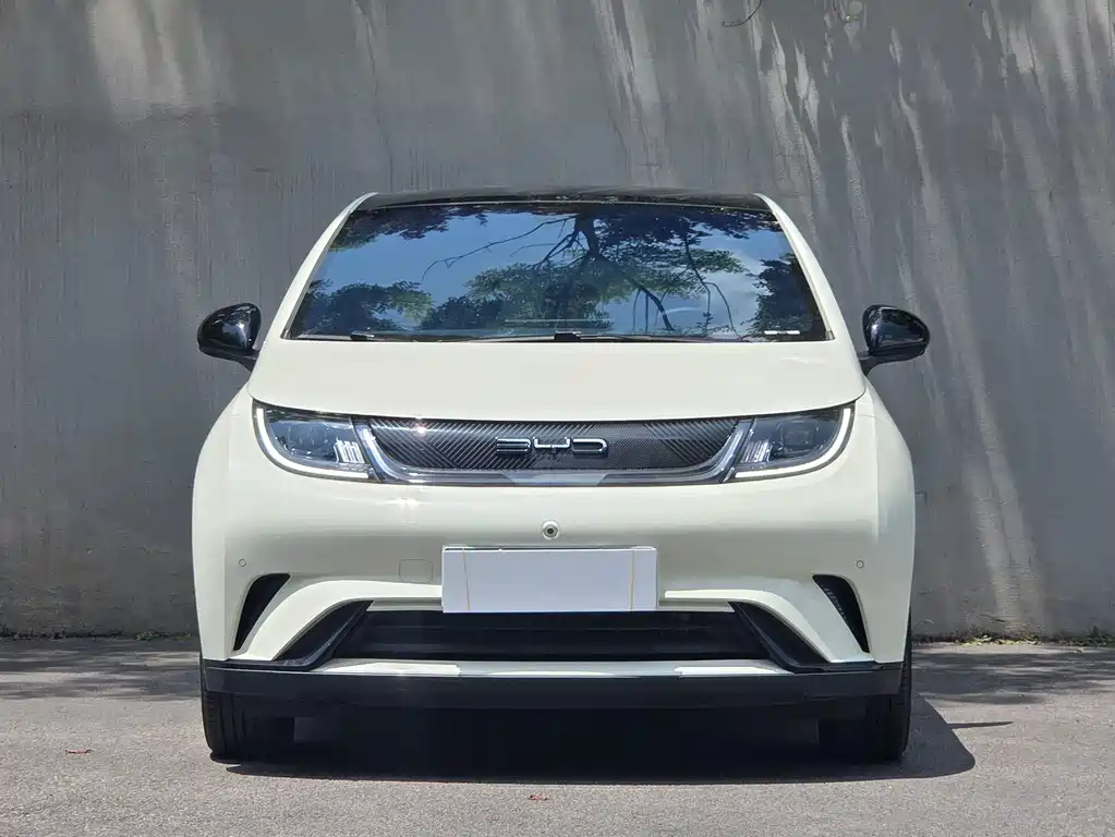 BYD Dolphin 2023 — фото 2