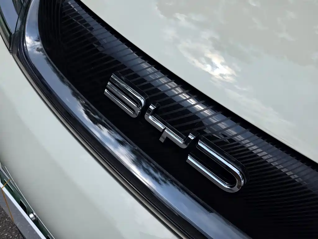 BYD Dolphin 2023 — фото 15