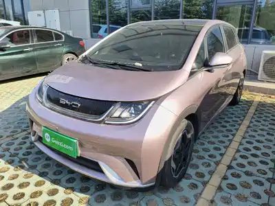 BYD Dolphin 2023