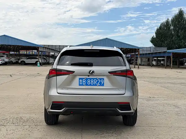 Lexus NX 2019