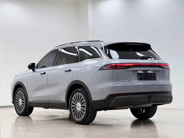 Chery Fengyun T9 2024