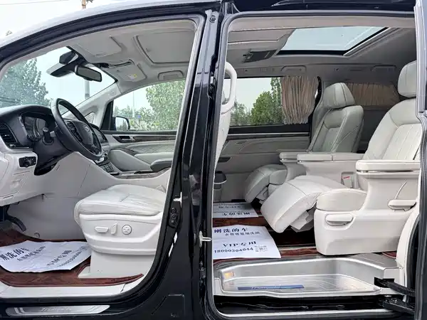 GAC Trumpchi M8 2019
