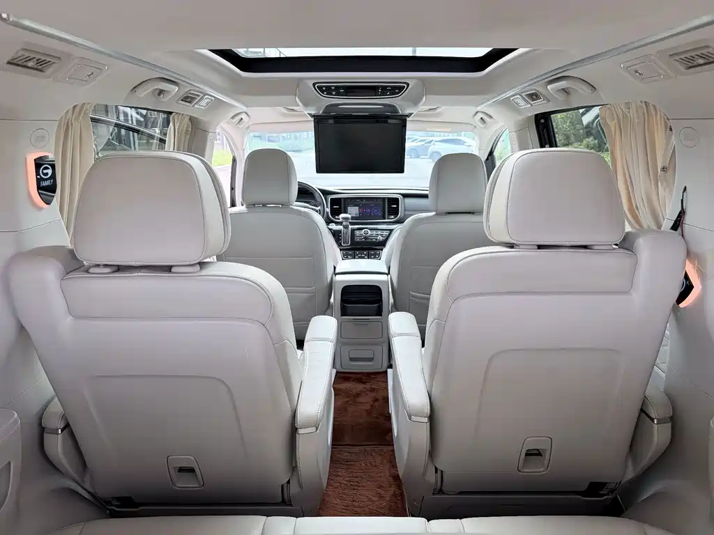 GAC Trumpchi M8 2019 — фото 14