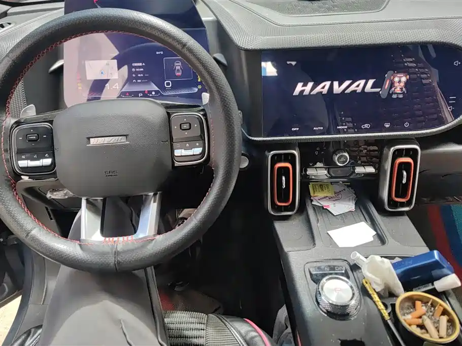 Haval Big Dog 2021 — фото 12