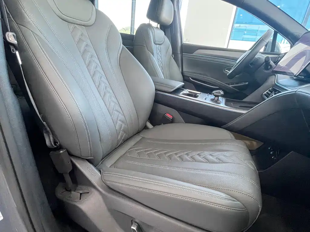 BYD L DM-i 2025 — фото 16