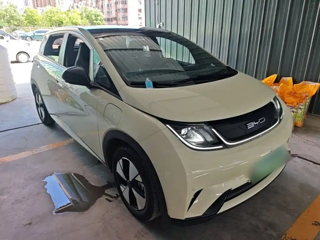 BYD Dolphin 2024