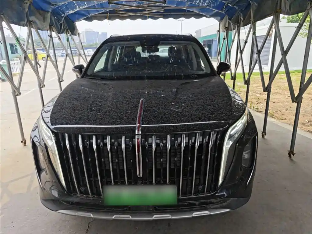 Hongqi HS7 PHEV 2024 — фото 3