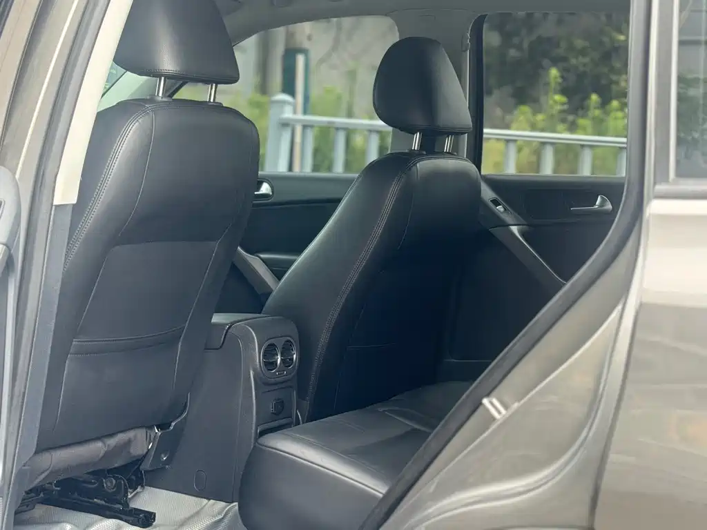Volkswagen Tiguan 2010