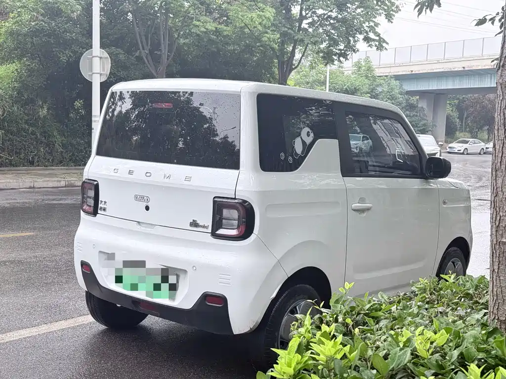 Galaxy Panda 2024