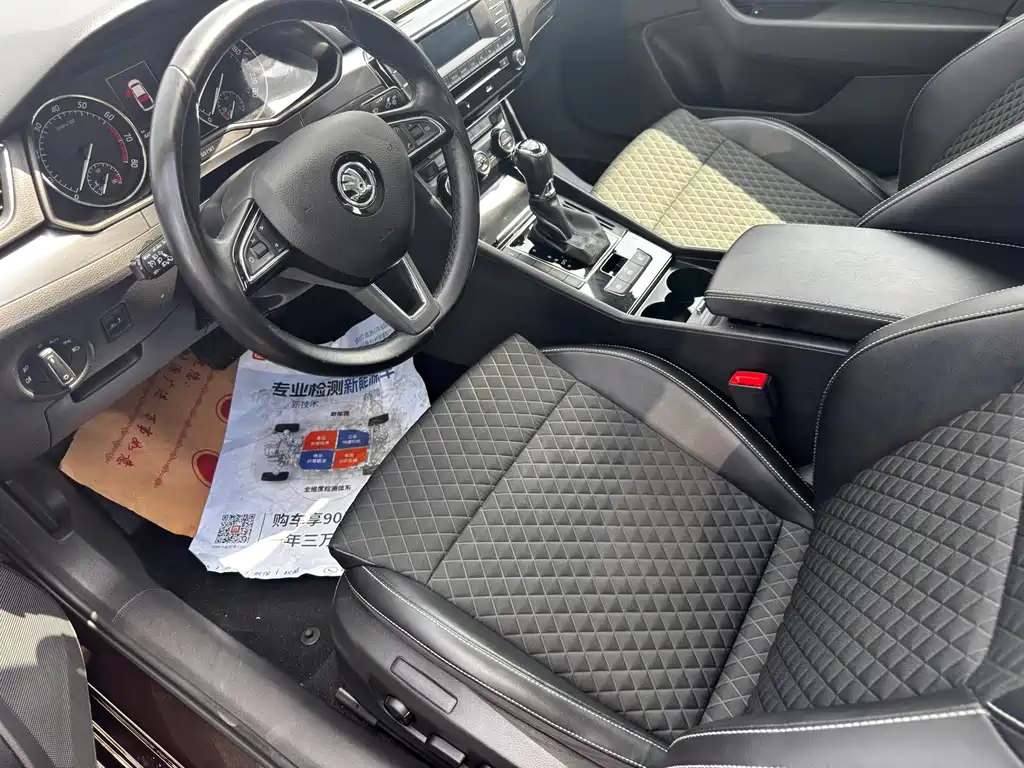 Skoda Speedy 2017