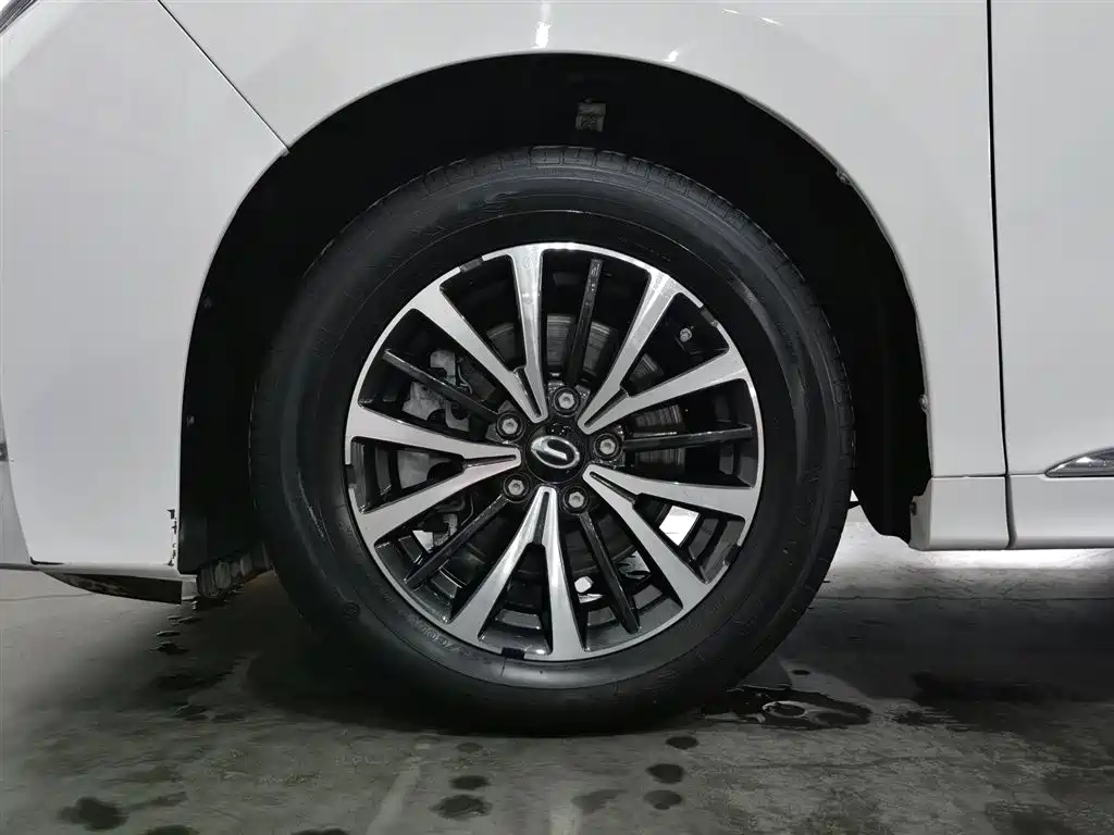 GAC Motor Trumpchi M8 2023 — фото 17