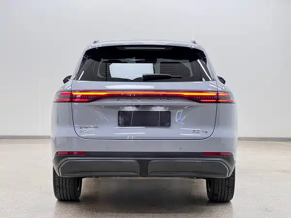 Chery Fengyun T9 2024