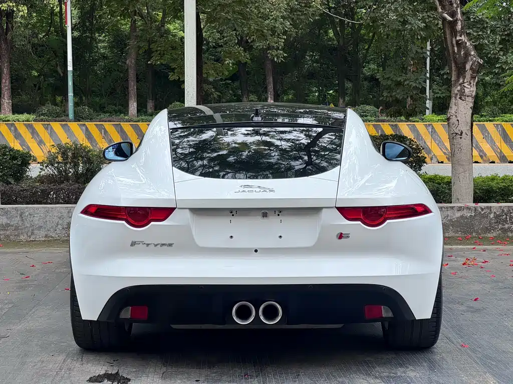 Jaguar F-TYPE 2016 — фото 9