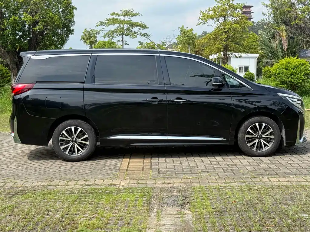 GAC Motor Trumpchi M8 2021 — фото 19