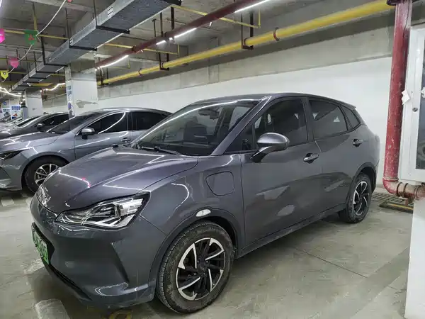 Neta V 2021