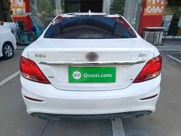 BYD Surui 2017