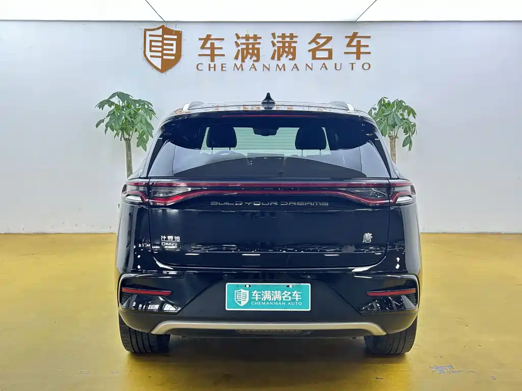 BYD Tang New Energy 2023 — фото 10