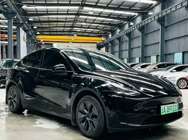 Tesla Model Y 2024