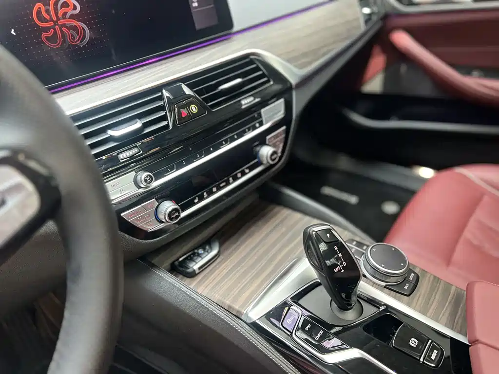 BMW 5 Series 2021
