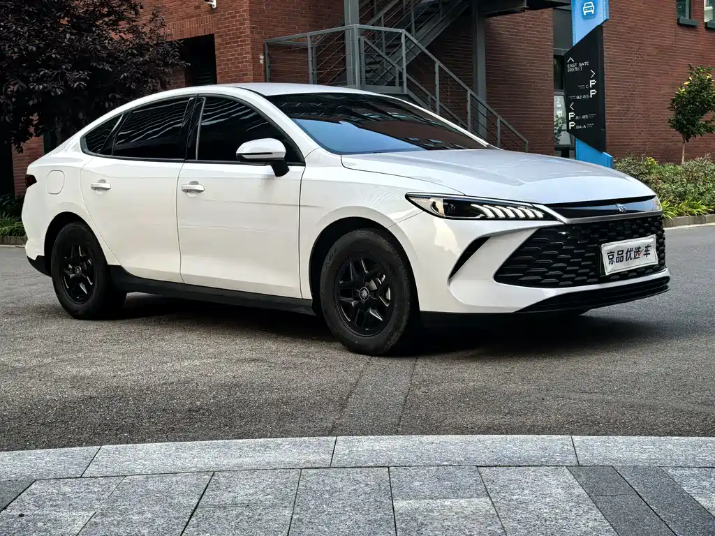 BYD Qin PLUS 2025 — фото 3