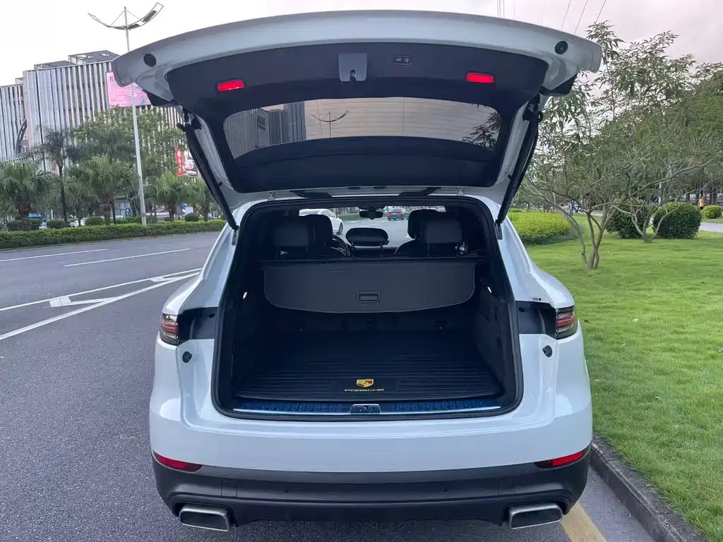 Porsche Cayenne New Energy 2020 — фото 11
