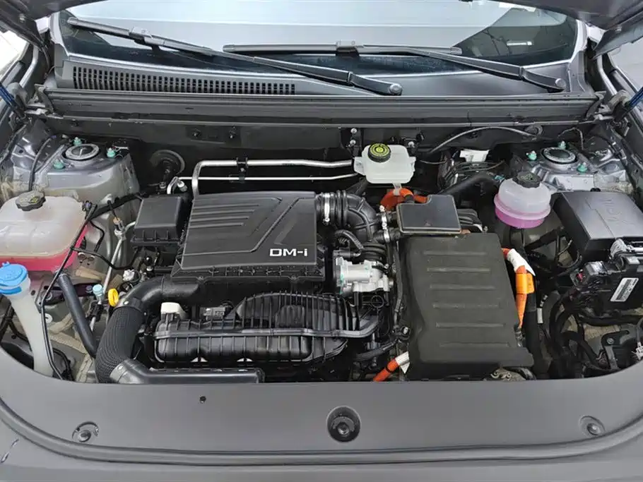 BYD Song Pro New Energy 2025 — фото 10