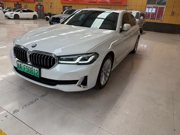 BMW 5 Series New Energy 2021