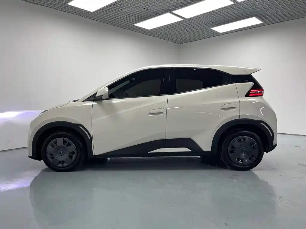BYD Seagull 2025