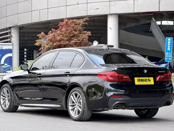 BMW 5 Series 2019