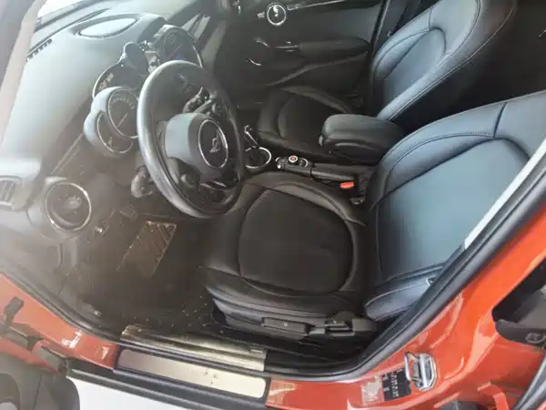 MINI 2019