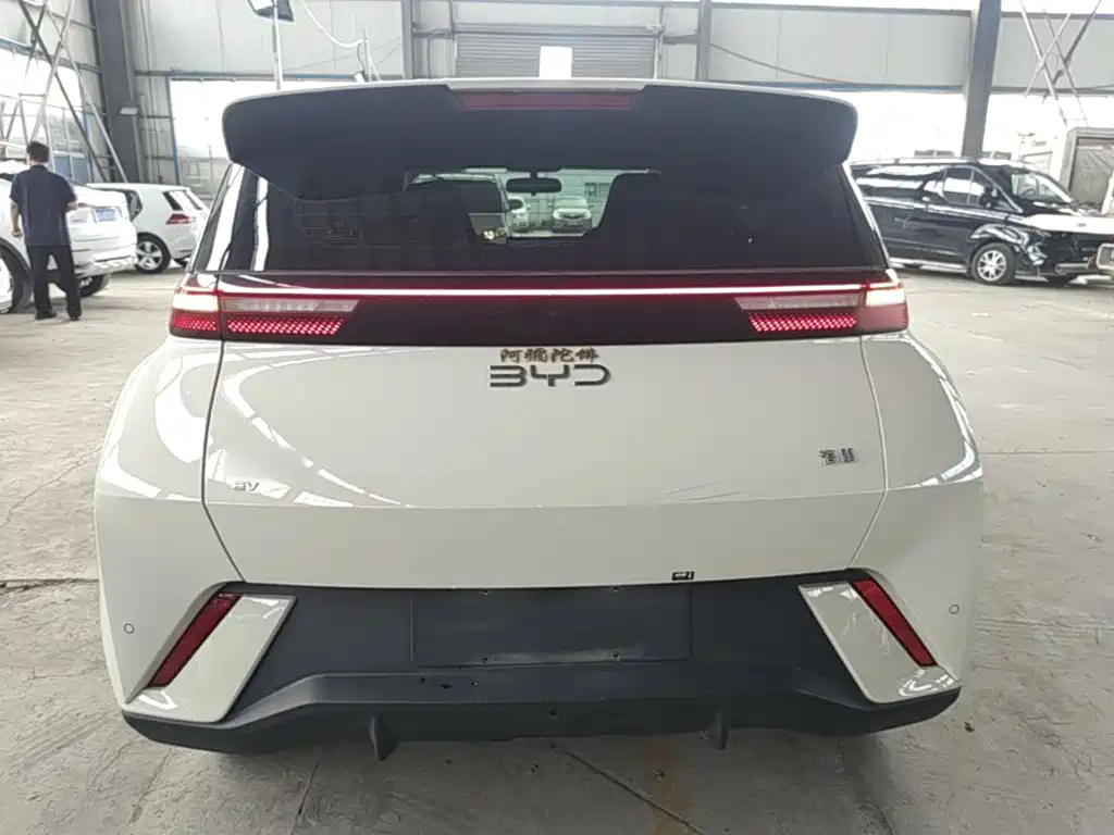 BYD Seagull 2025