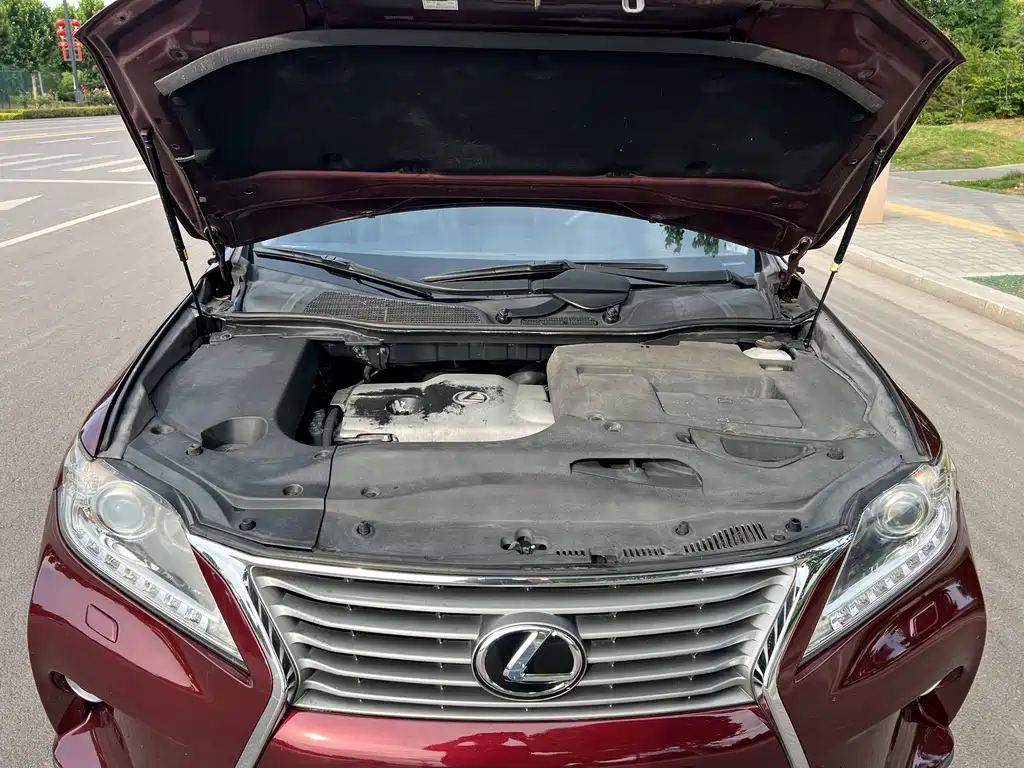 Lexus RX Classic 2013 — фото 20