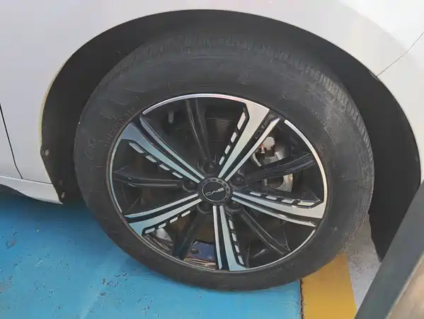 BYD Destroyer 05 2022