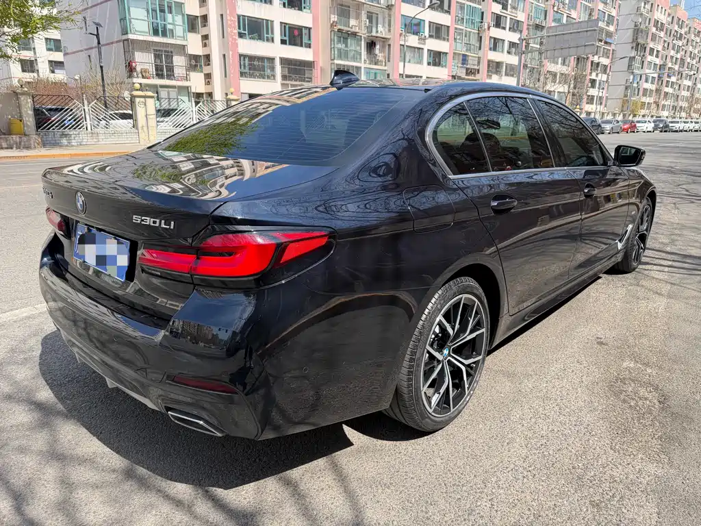 BMW 5 Series 2020 — фото 19