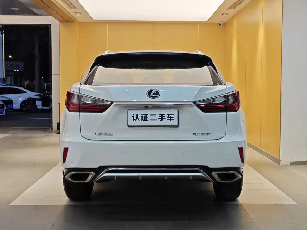 Lexus RX 2018 — фото 31