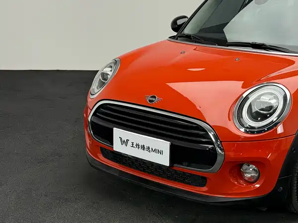 MINI 2019