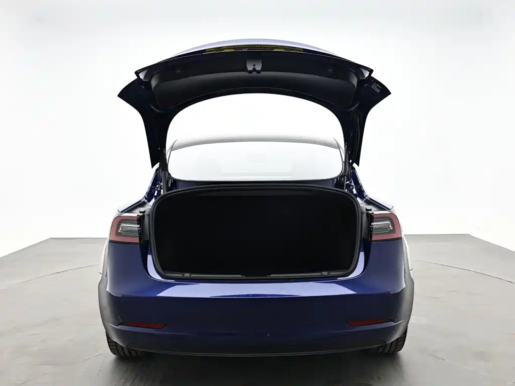 Tesla Model 3 2021 — фото 8