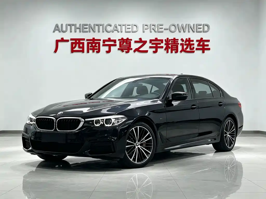 BMW 5 Series 2019