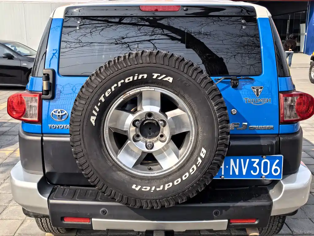 Toyota FJ Cruiser 2008 — фото 19