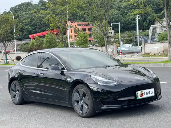 Tesla Model 3 2020