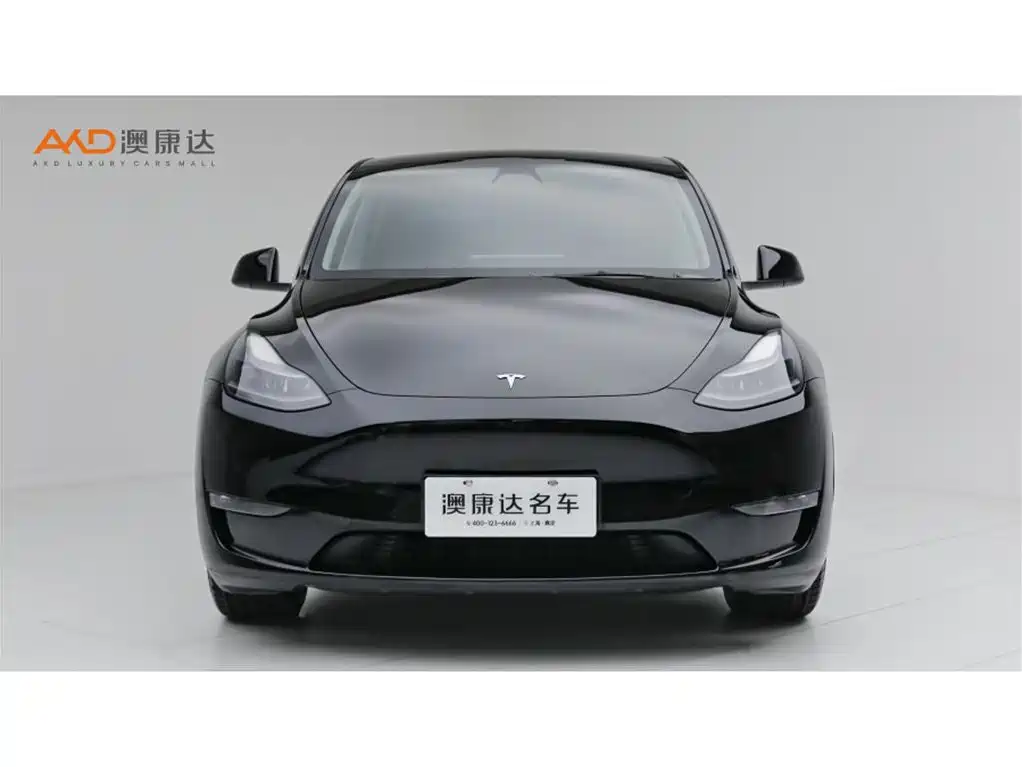 Tesla Model Y 2023 — фото 2