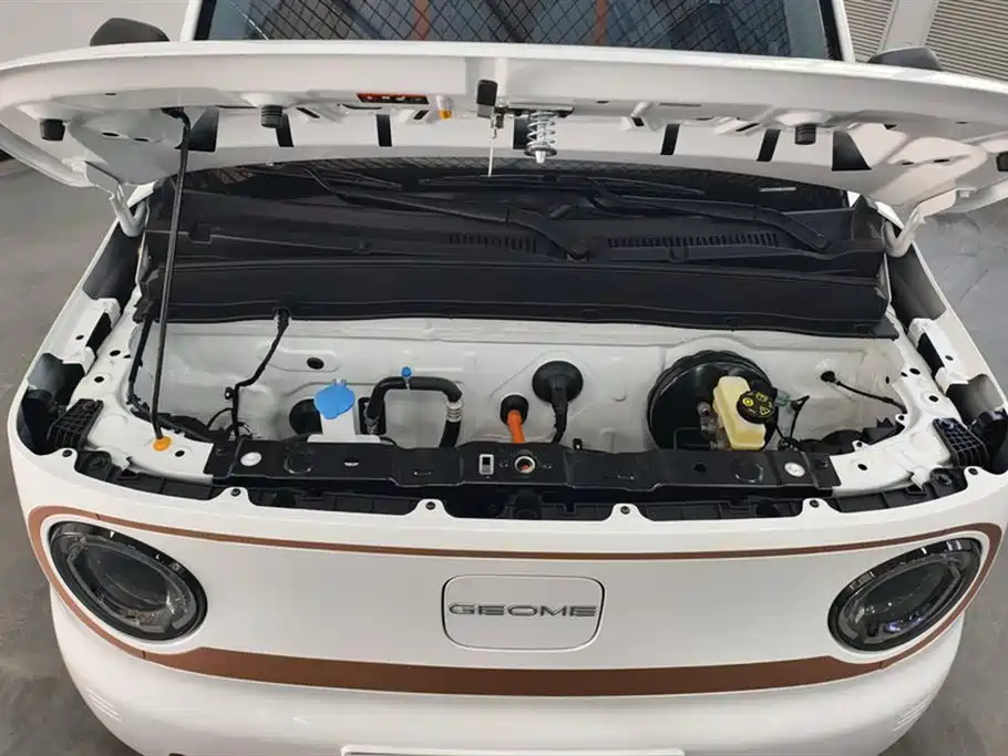 Geely Galaxy Panda 2024 — фото 10