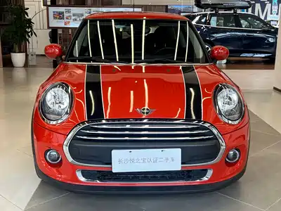 MINI MINI 2021