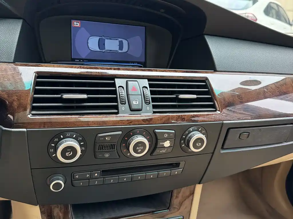 BMW 5 Series 2010 — фото 11