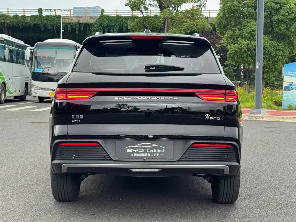 BYD Pro New Energy 2024 — фото 12