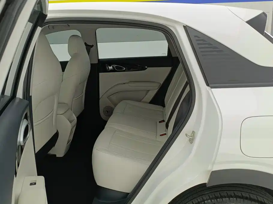 Geely Galaxy Starwish 2025 — фото 11