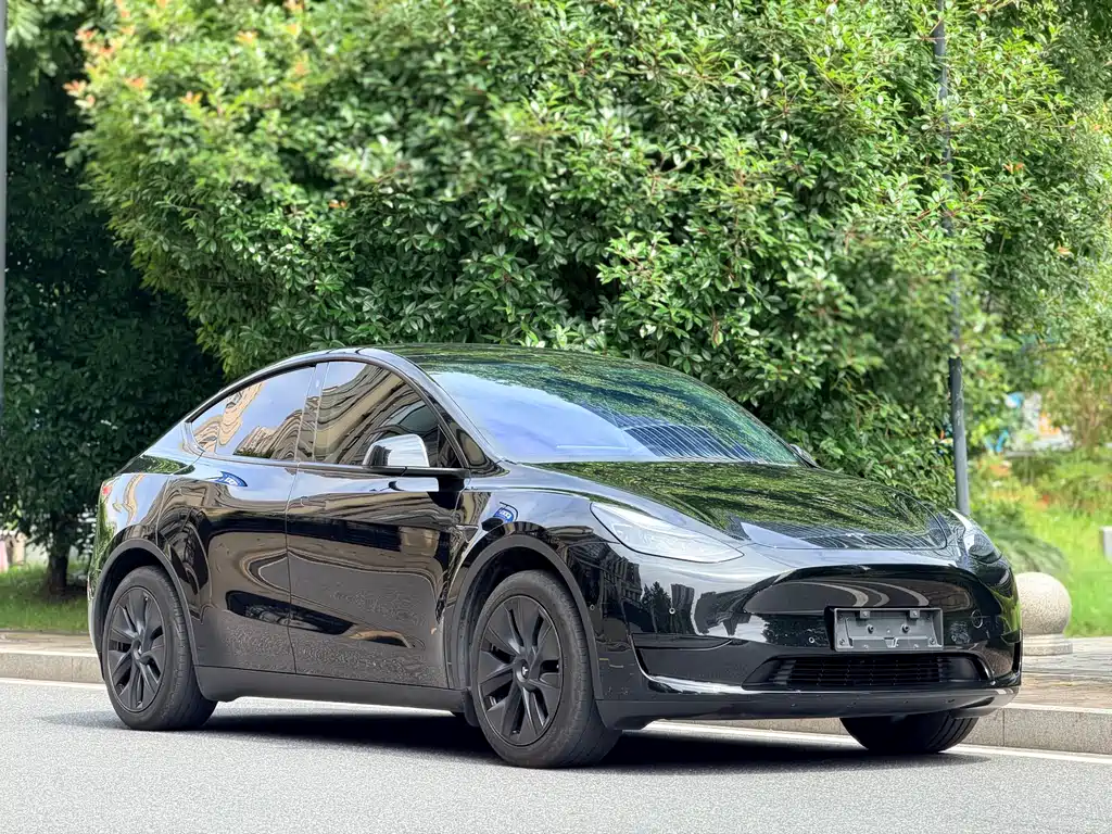 Tesla Model Y 2024 — фото 3