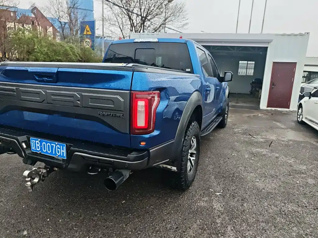 Ford F-150 Raptor 2018 — фото 24