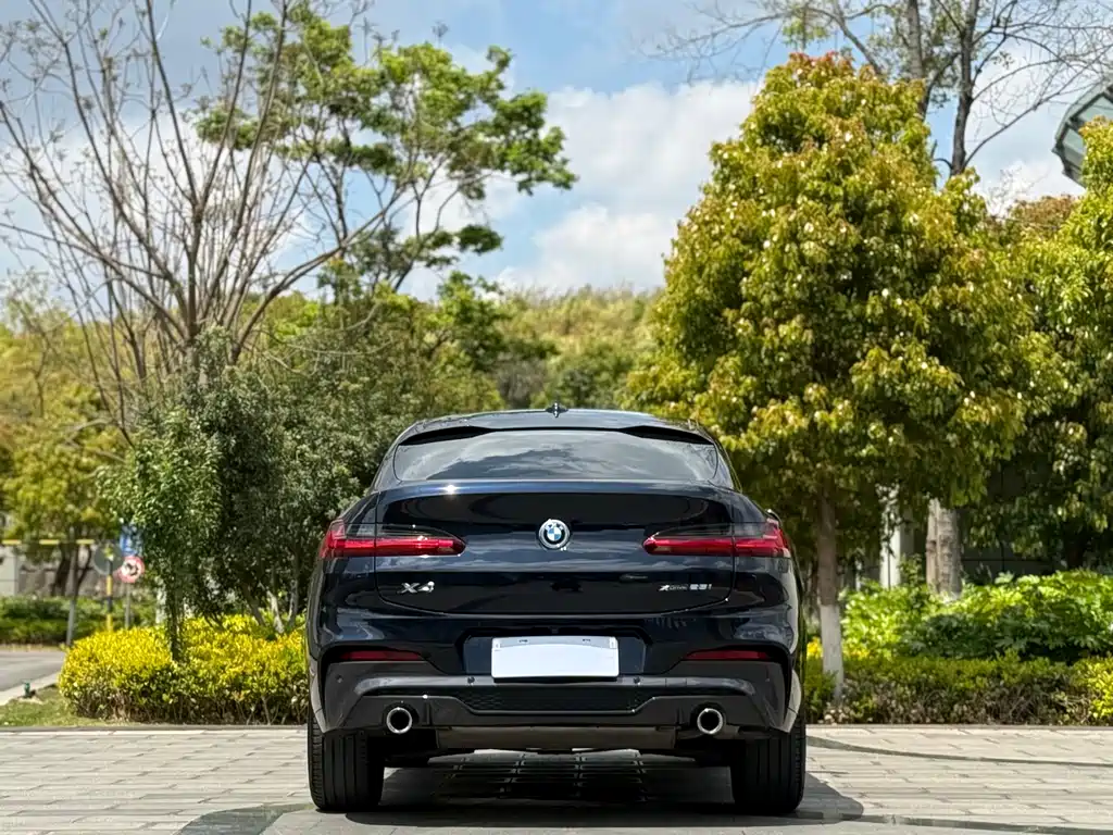 BMW X4 2019 — фото 8